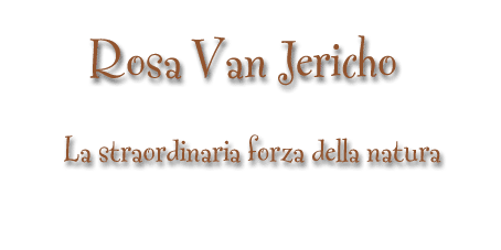 Rosa di Jericho (Selaginella lepidophylla) - senza vaso » Vendita Piante  Online